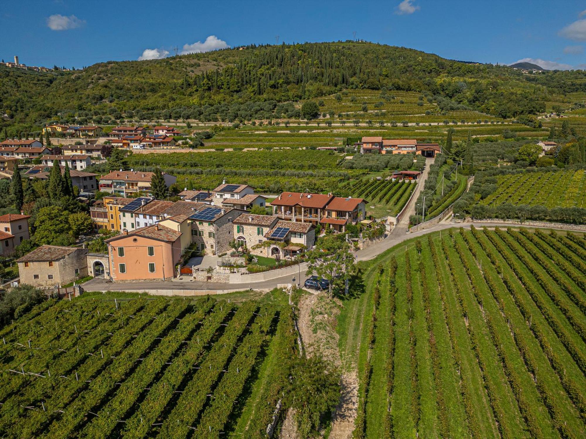 Corte Formigar SantʼAmbrogio di Valpolicella Exterior foto